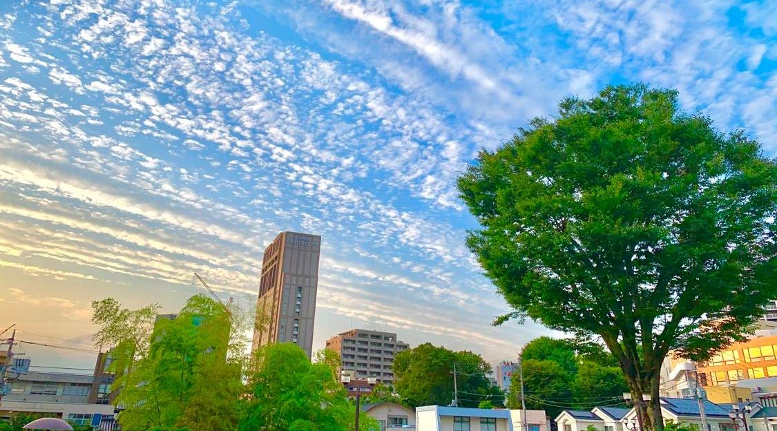 埼玉会館からパインズ方向の空