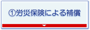 1hosyou