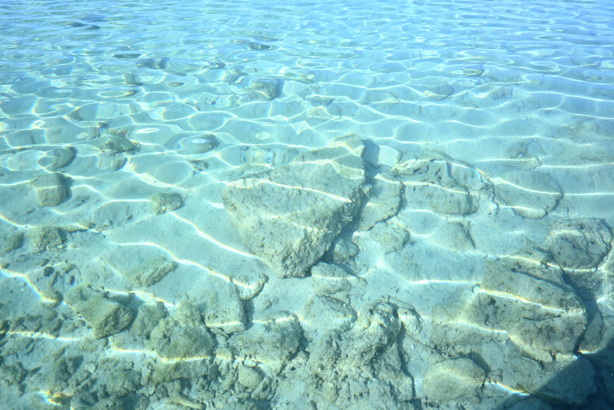 奄美の海
