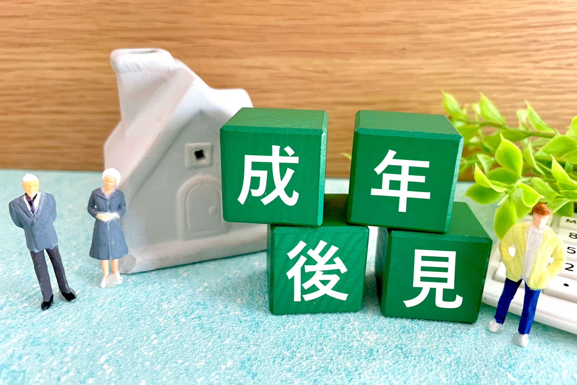 生年後見制度について